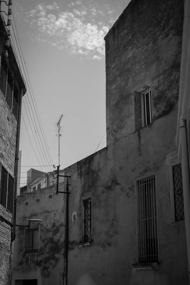 dsc01047.webp